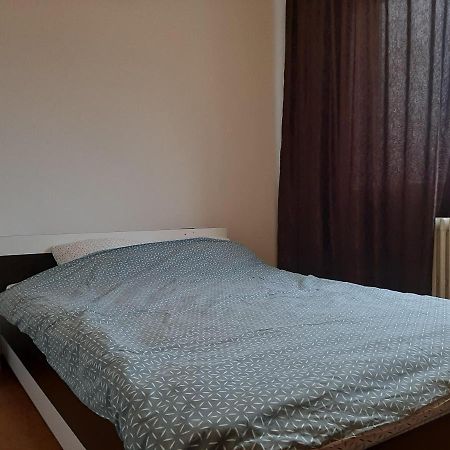 Ultracentral Apartment Bulevard Regele Mihai Nr 10, Sc A Ap 16 تيميشورا المظهر الخارجي الصورة